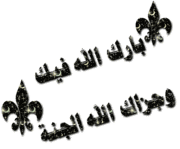 (( مفاجأه )) موسوعة حلقات المحقق كونان مدبلجه بالعربيه و من رفعى الخاص (( مفاجأه )) - صفحة 3 930586